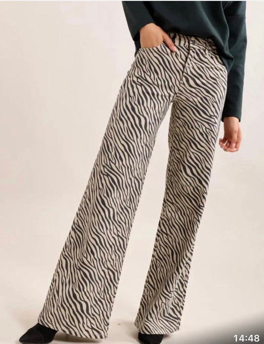 Jeans , Zebra