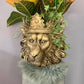 Löwenkopf , Skulptur , Gold, bepflanzt