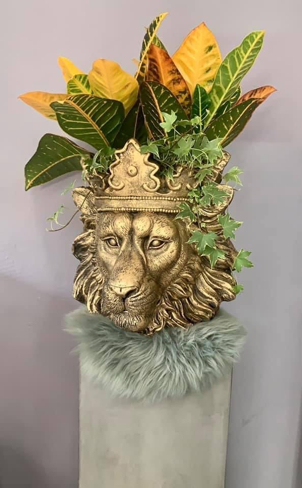 Löwenkopf , Skulptur , Gold, bepflanzt
