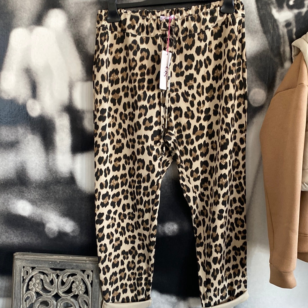 Hose , Leo Style