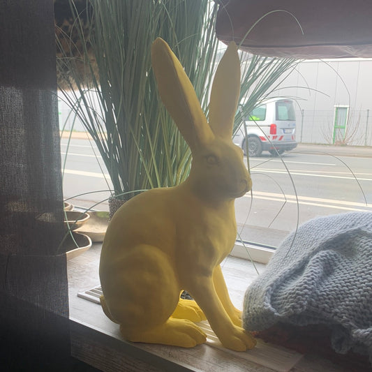 Hase , groß , sitzend